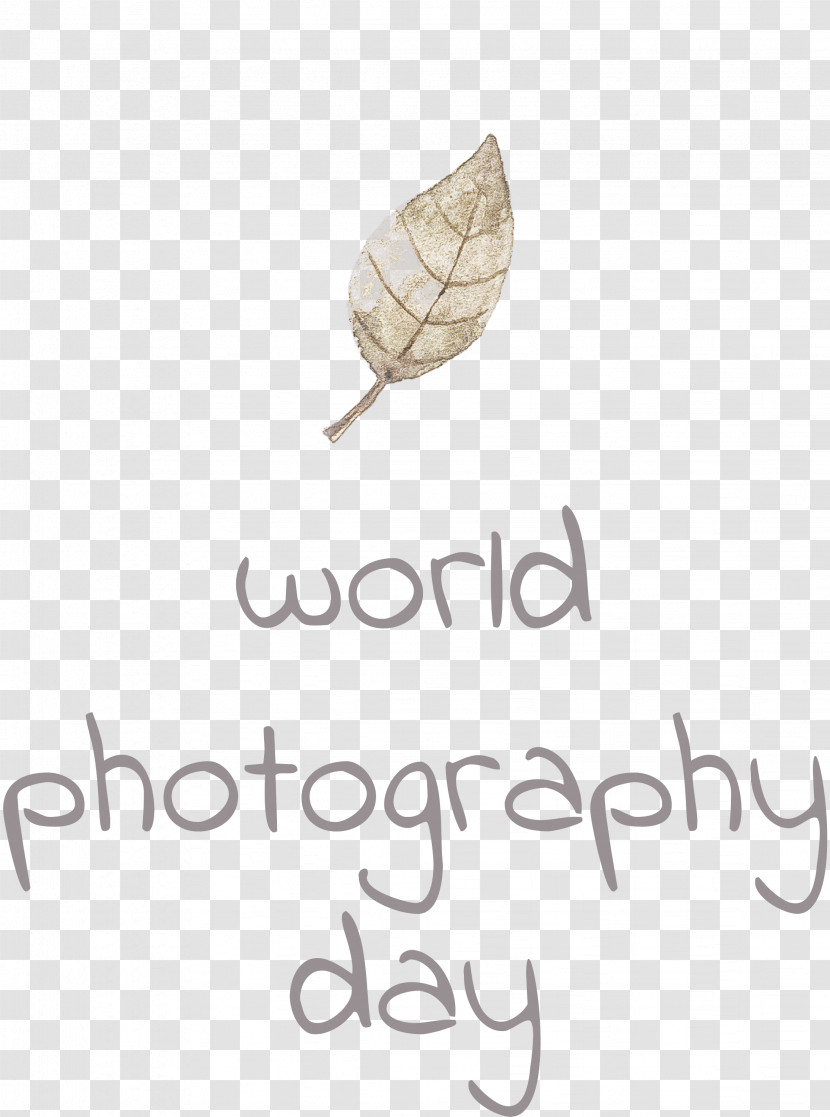 World Photography Day Transparent PNG