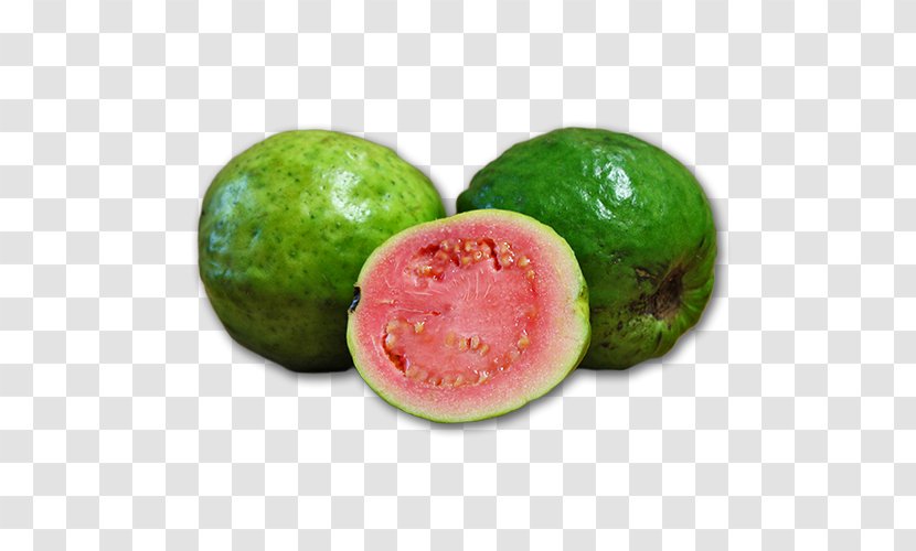 Guava Food Watermelon Fruit - Cucumber Transparent PNG