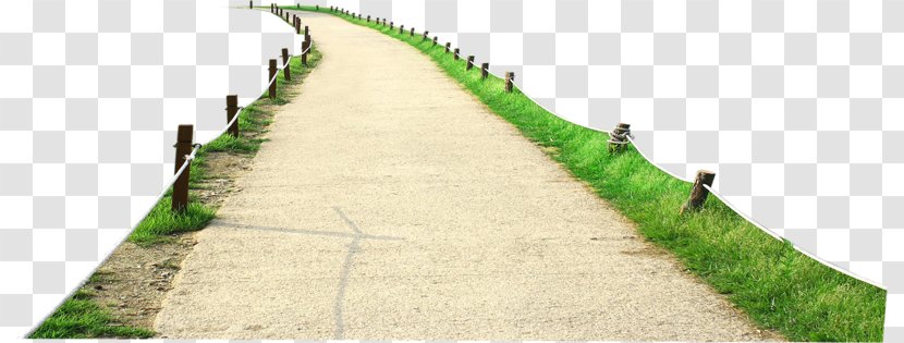 Road Path - Walkway - Green Grass On Both Sides Of The Transparent PNG