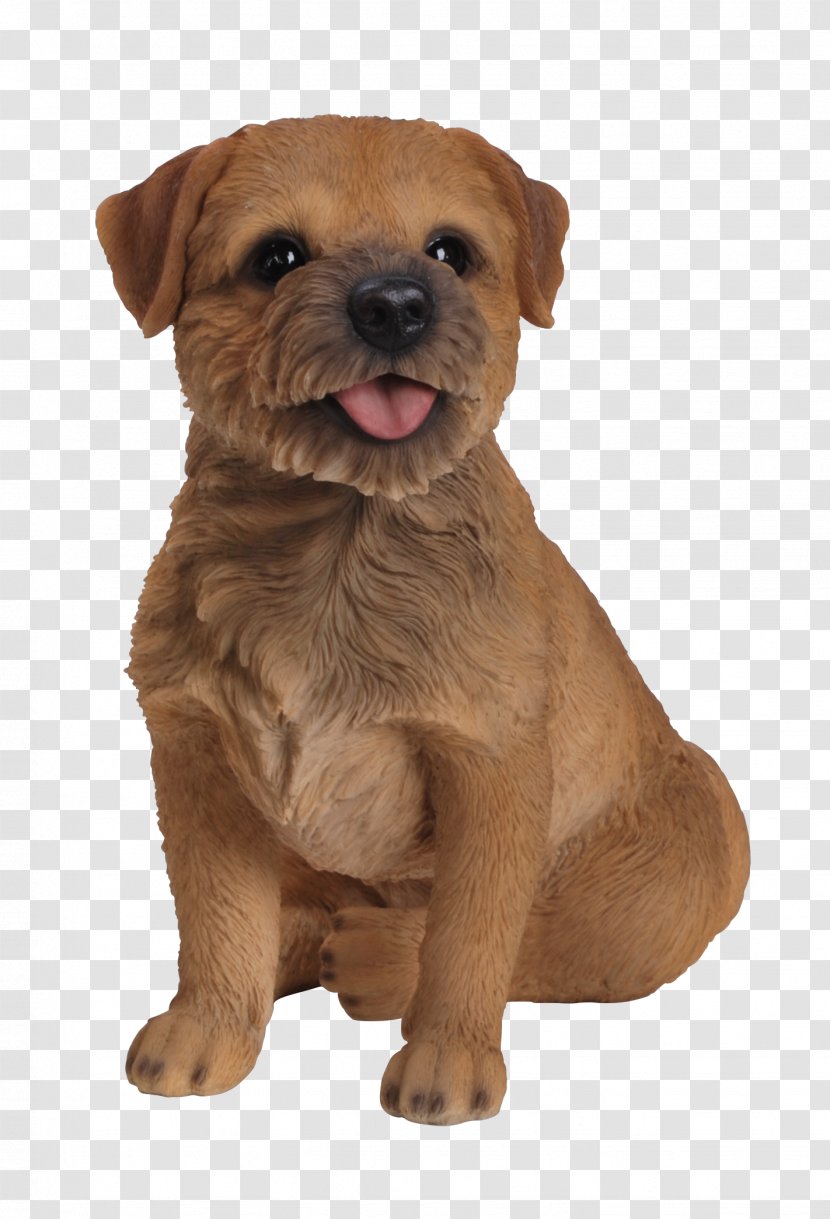 Norfolk Terrier Border Dutch Smoushond Puppy Dog Breed - Snout Transparent PNG