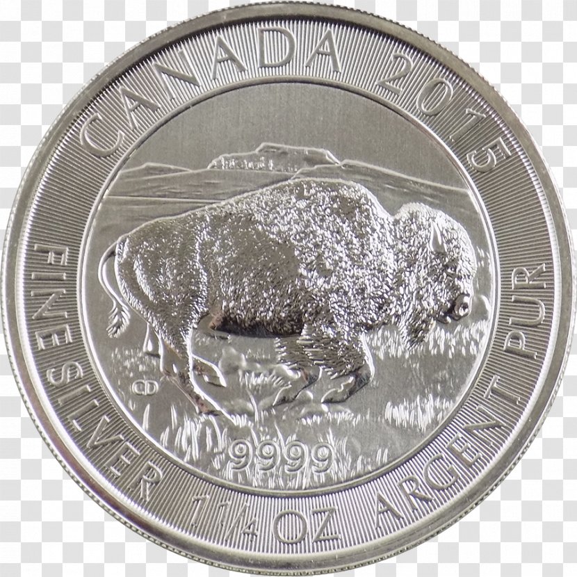 Quarter Nickel Medal - Coin - Metal Transparent PNG