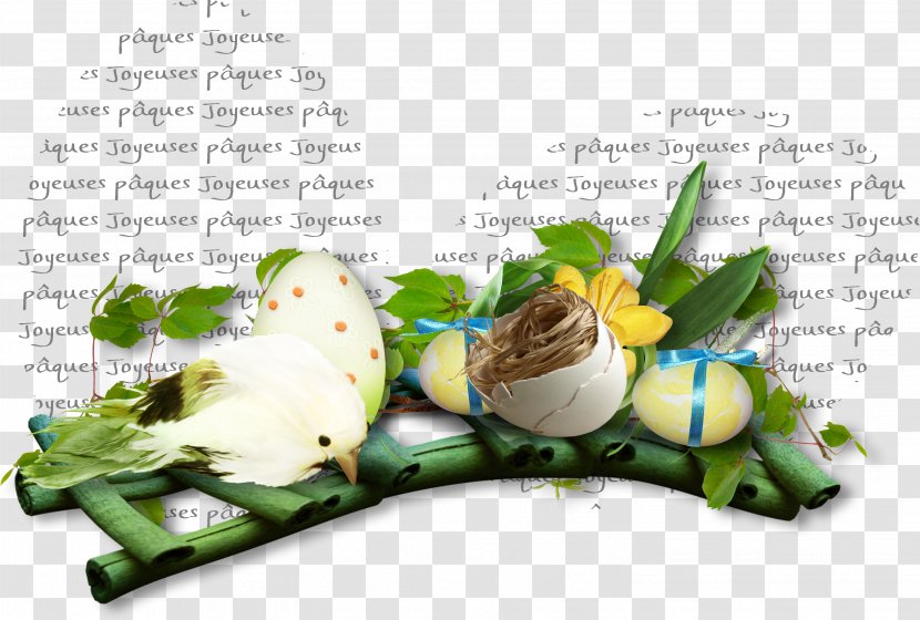 Easter Bunny Violette De Toulouse - Organism Transparent PNG