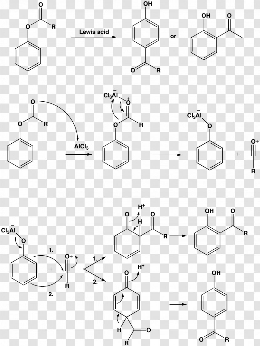 Dendrimer Chemistry Vitamin Molecule Tocopherol - Science Transparent PNG