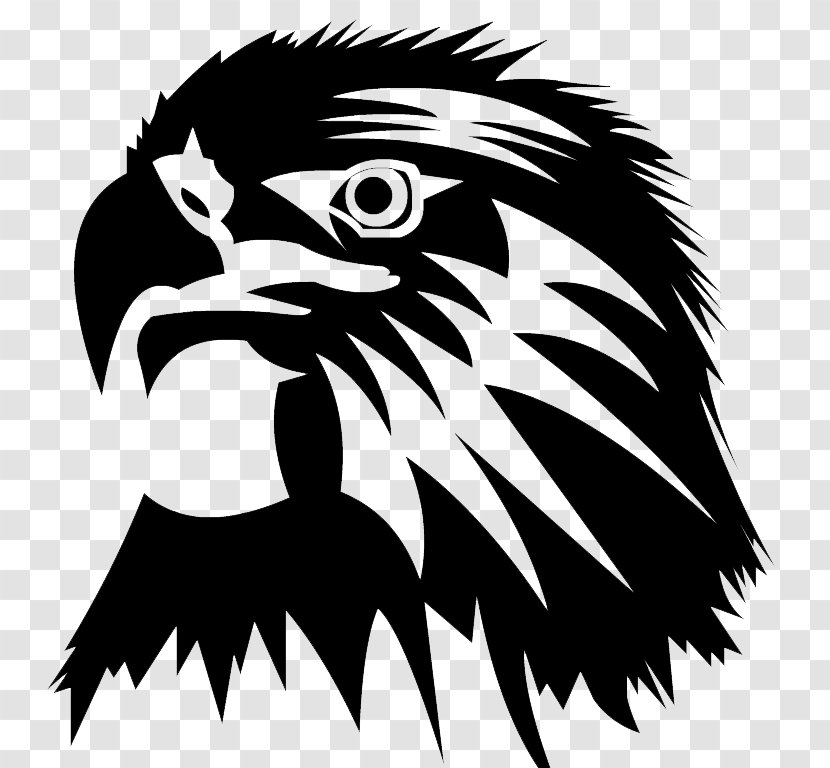 Bald Eagle Image Clip Art Transparent PNG