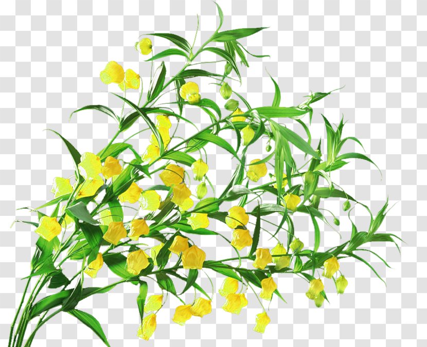 Flower Lily Of The Valley Floral Design - Bouquet Transparent PNG