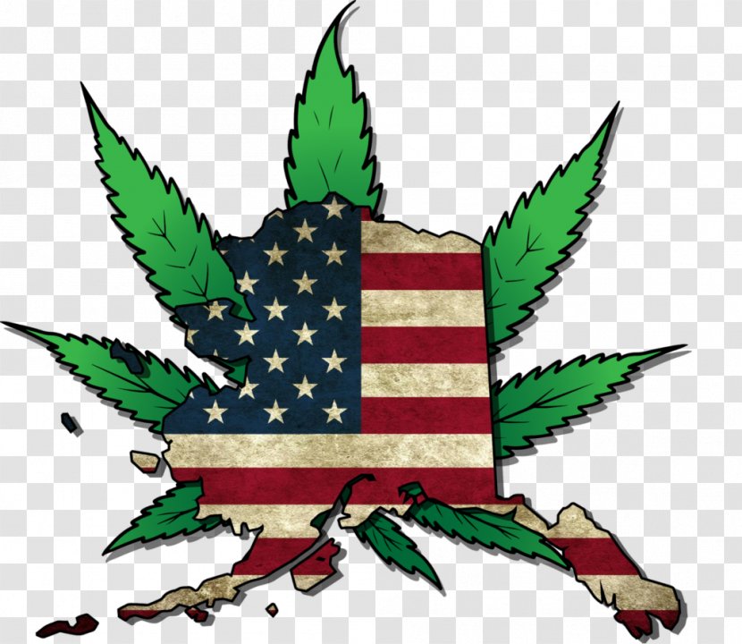 Alaska War On Drugs Legality Of Cannabis Medical - Recreational Drug Use - Marijuana Transparent PNG