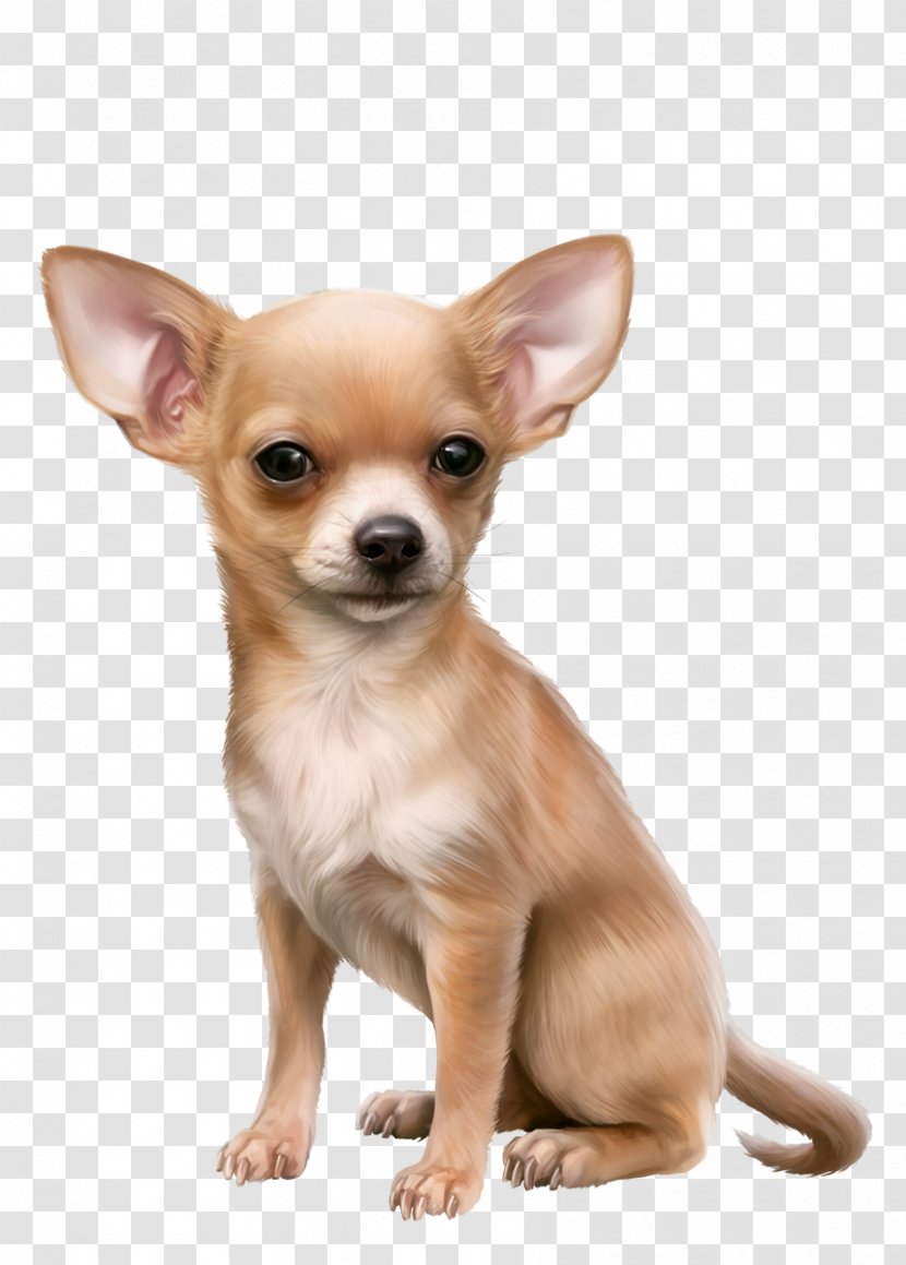 Chihuahua Russkiy Toy English Terrier Puppy Dog Breed - Oscar Transparent PNG