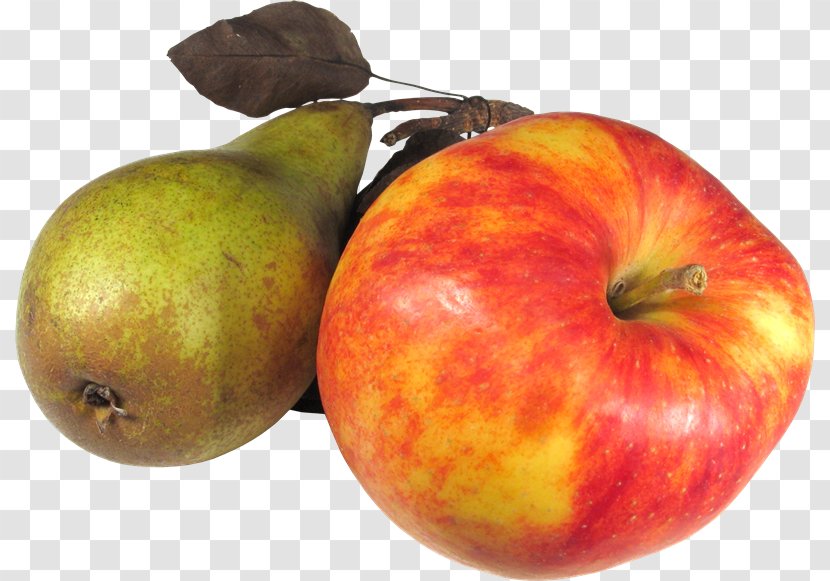 Apples Pome Food Breakfast - Accessory Fruit - Verdura Transparent PNG