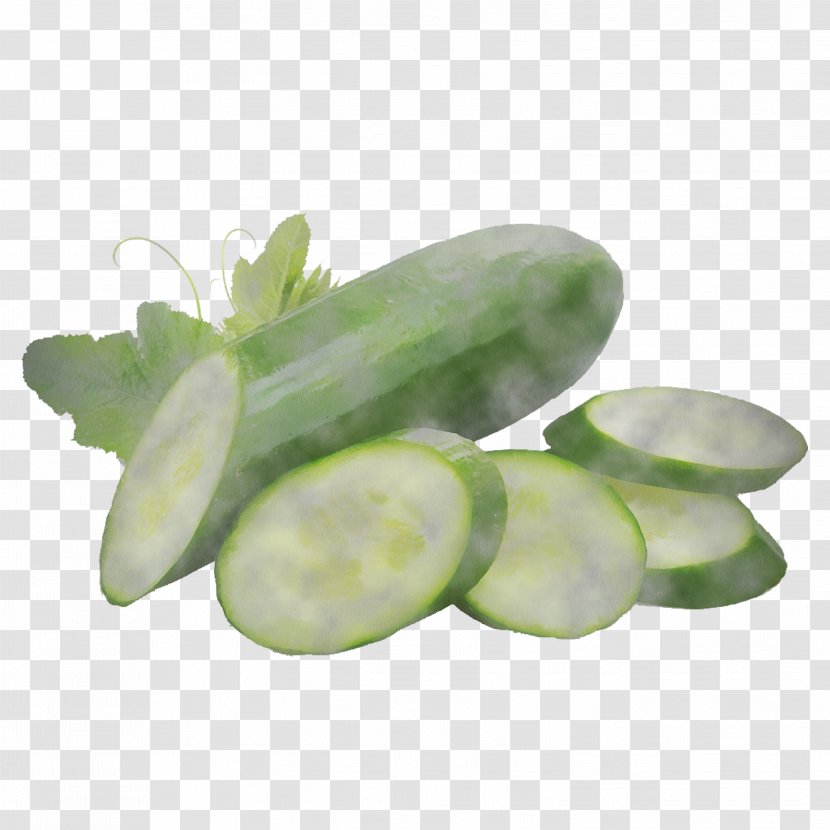 White Cucumber Plant Vegetable Cucumis - Scarlet Gourd - Flower And Melon Family Transparent PNG