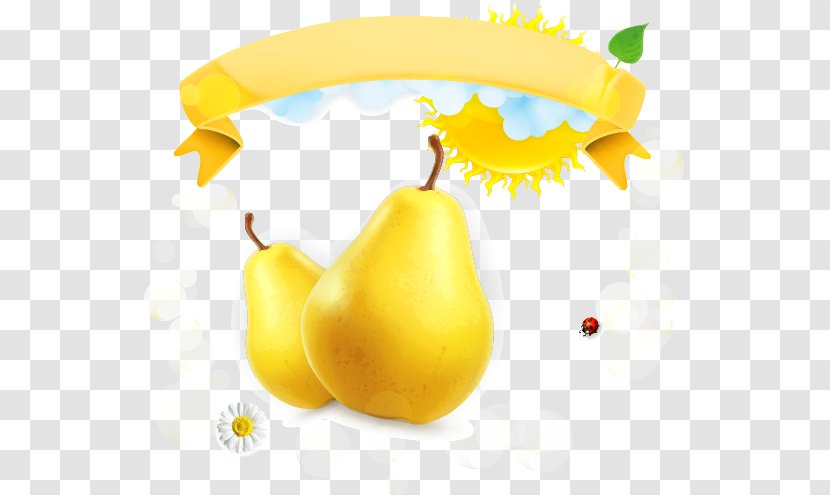 Pear Adobe Illustrator Auglis - Cartoon - Realistic Transparent PNG