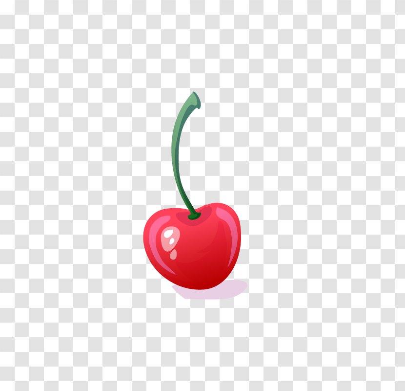 Cherry Berry Cerise Fruit - Blossom - Cherry,Hongguo Transparent PNG