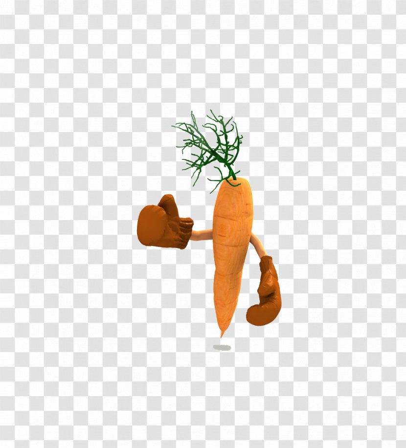 Carrot Illustration - Orange - Cartoon Transparent PNG