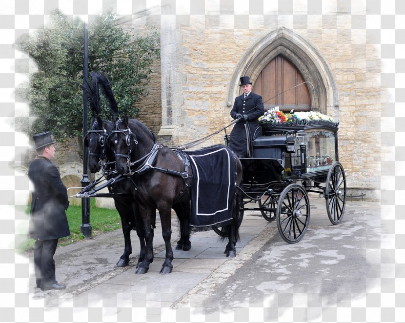 Carriage Hearse Wagon Funeral Director - Coachman Transparent PNG