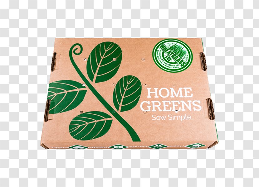 Raised-bed Gardening Green Herb - Raisedbed - Vegetable Transparent PNG