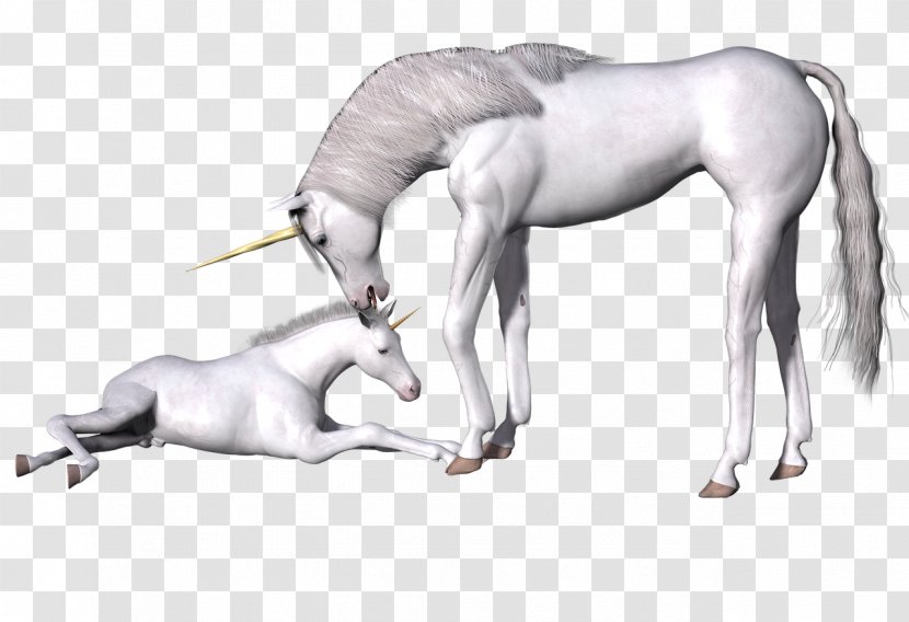 Horse Unicorn Legendary Creature Fairy Tale Mythology - Line Art - Horn Transparent PNG
