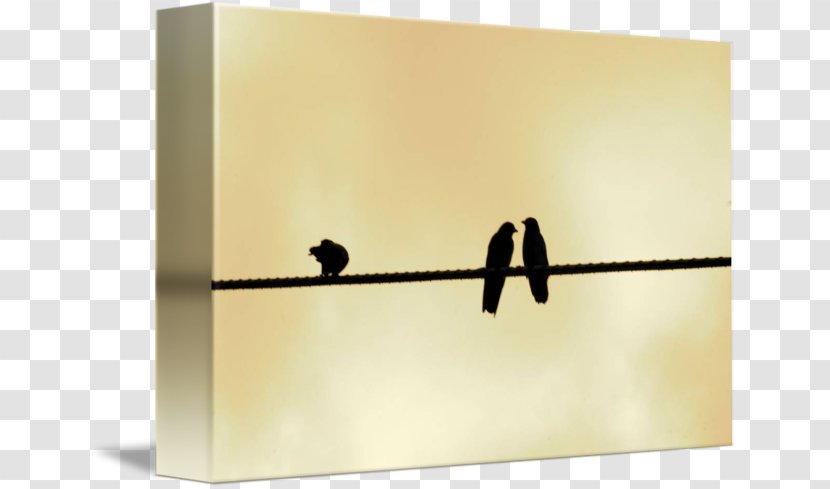 Product Design Rectangle - Bird On Wire Transparent PNG