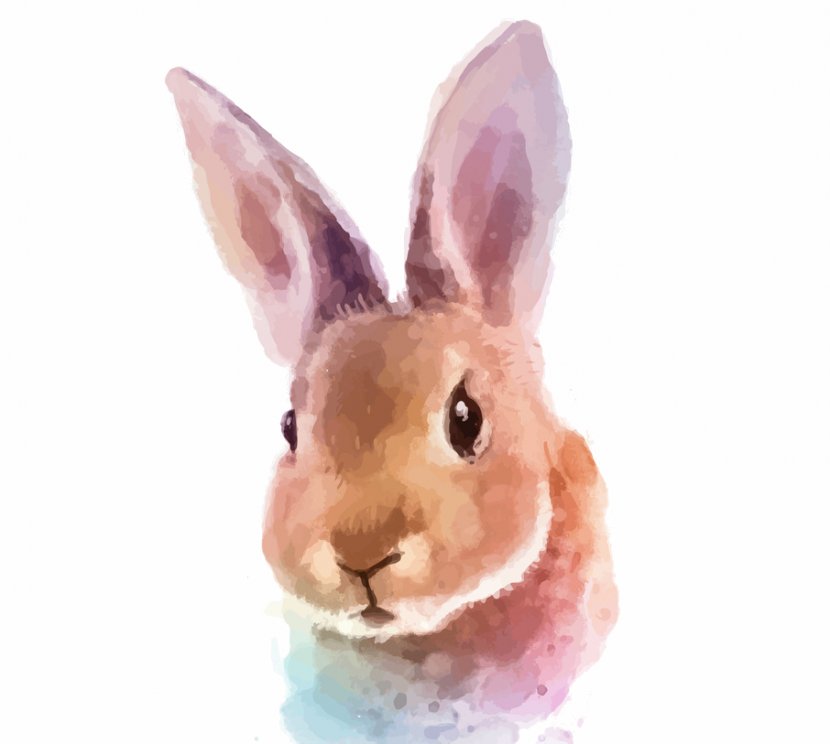 White Rabbit Watercolor Painting Royalty-free - Mammal Transparent PNG