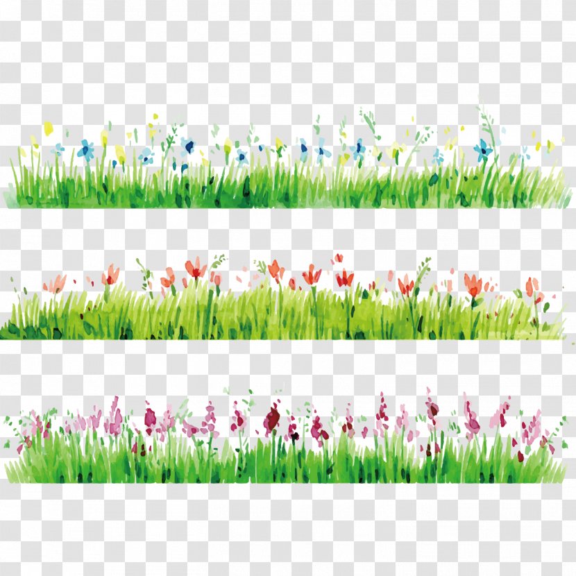 Watercolor Painting Flower Photography - Meadow - Drawing Grass Border With Flowers In Full Bloom Transparent PNG