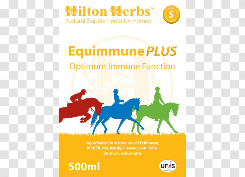 Optimum Logo Immune System Brand Font - Area - Autoimmune Arthritis Day Transparent PNG