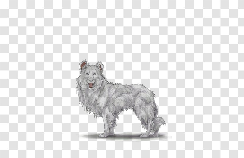 Rare Breed (dog) Shetland Sheepdog Dog Australian Shepherd Curly-coated Retriever - Coloring Book Transparent PNG