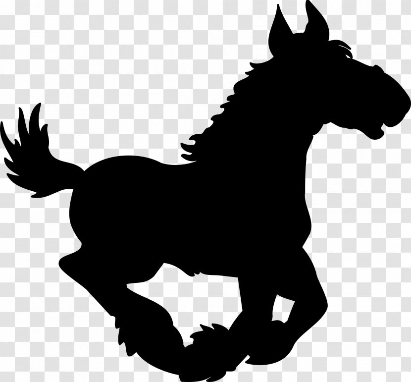 Mule Mustang Stallion Foal Pony - Horse - Animal Figure Transparent PNG