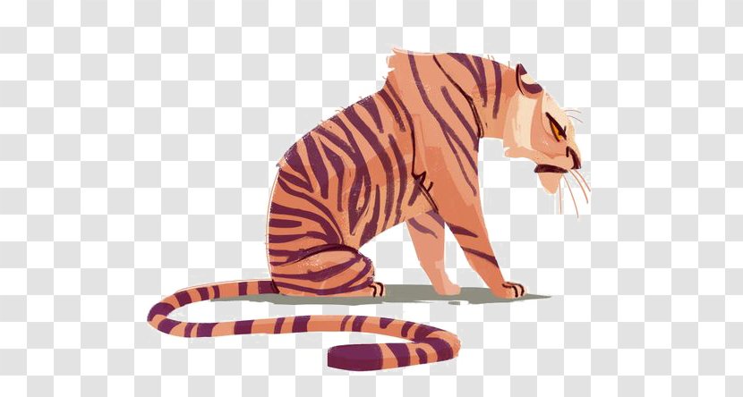 Cat Tiger Kitten Drawing Illustration - Terrestrial Animal Transparent PNG