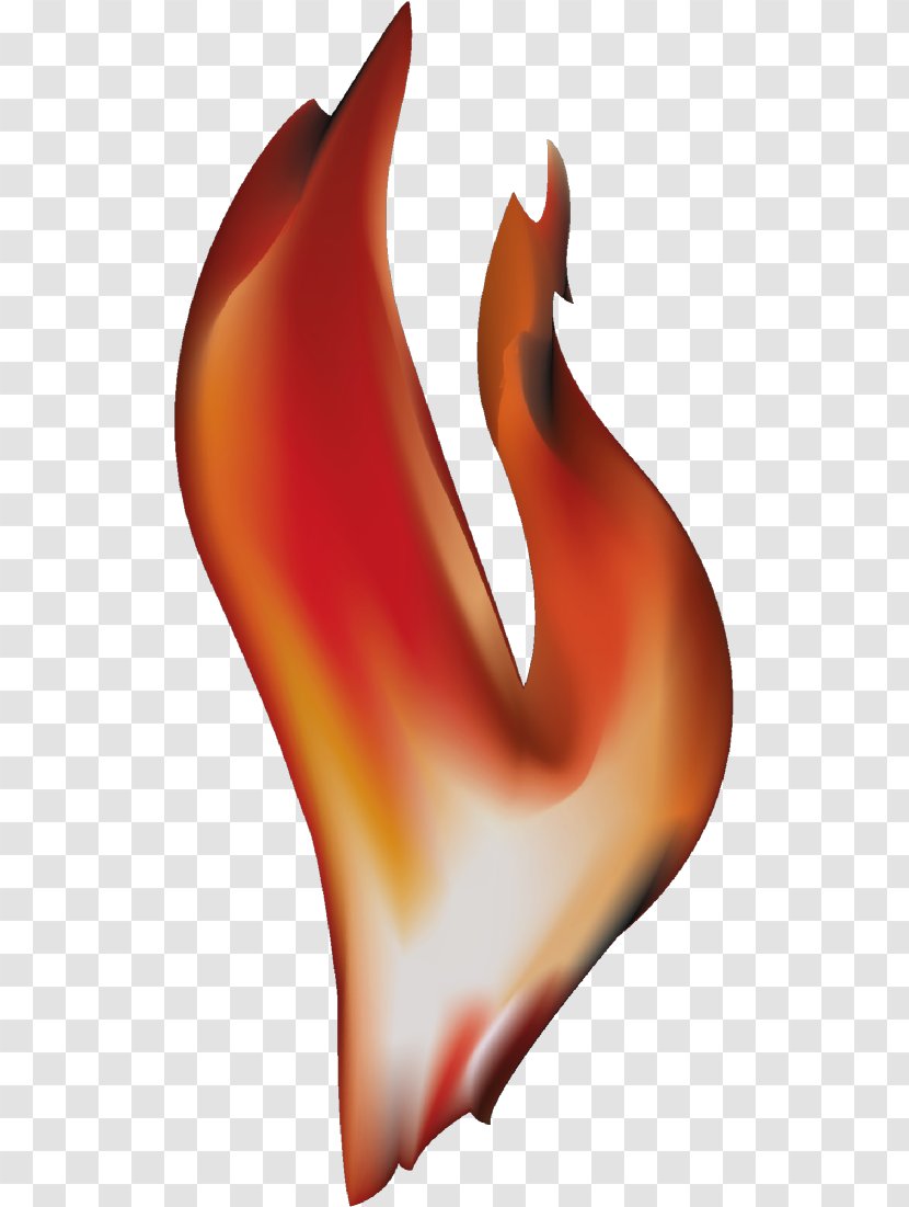 Flame Combustion Fire Clip Art - Frame - Free Pictures Of Transparent PNG