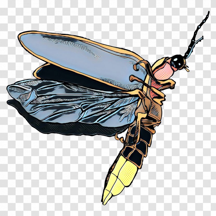 Honey Bee Clip Art Insect - Wasp - Wing Transparent PNG