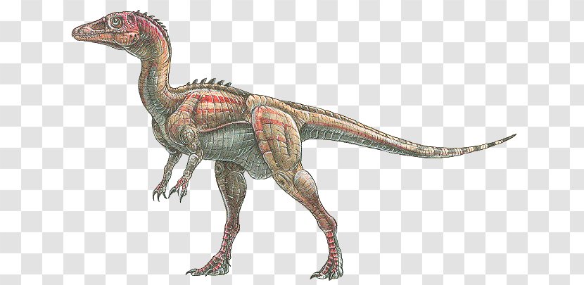 Eoraptor Lunensis Velociraptor Dinosaur Tyrannosaurus Alamosaurus - Geology Transparent PNG