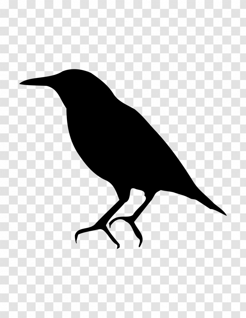 Bird Common Starling American Crow Silhouette - Monochrome - Birds Transparent PNG
