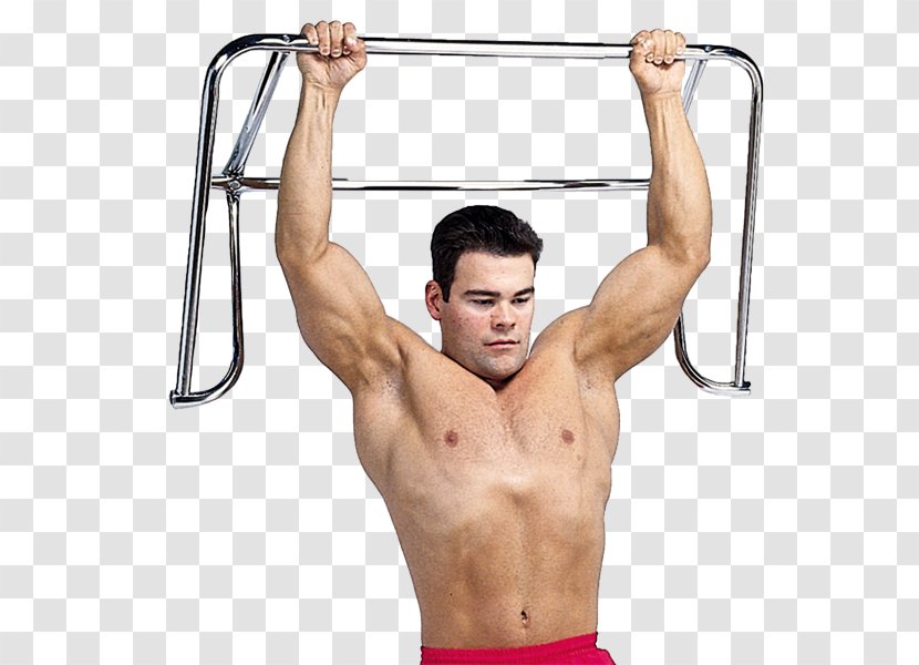 Pull-up Chin-up Weight Training Push-up Human Body - Tree - Frame Transparent PNG