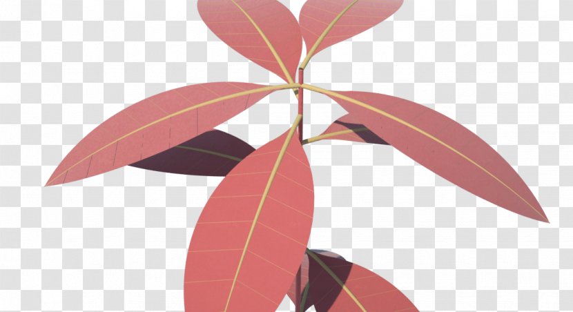 Petal Pink M Leaf - Flower Transparent PNG