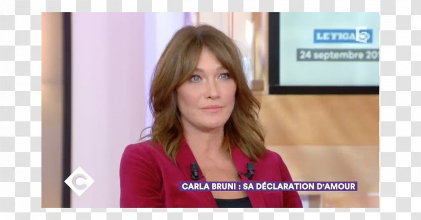 Carla Bruni French Touch The Republicans (France) Presidential Primary, 2016 Première Dame First Lady - Cartoon - Rebecca Transparent PNG