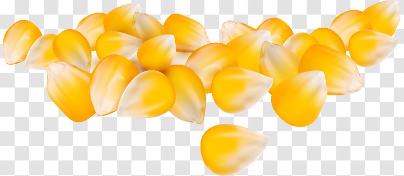 Maize Corn Kernel Caryopsis - Orange - Cartoon Crop Kernels Transparent PNG