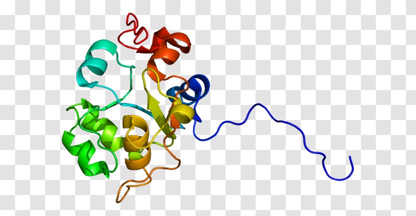 Protein–protein Interaction USP8 Ubiquitin Acid Hydrolase - Watercolor - Tree Transparent PNG