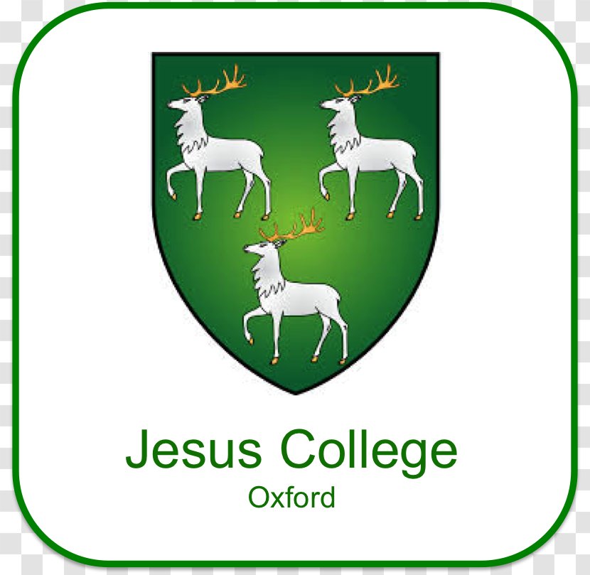 Harris Manchester College Exeter Corpus Christi College, Oxford New Jesus - Green - Student Transparent PNG
