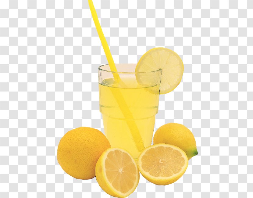 Lemon Juice Limeade Cocktail Garnish Transparent PNG