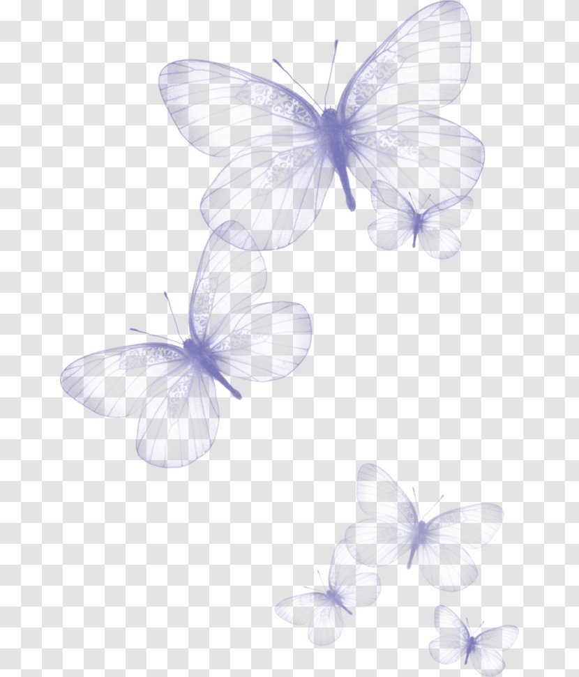 Butterfly Clip Art - Invertebrate - Fluttering Butterflies,Butterfly Dream Transparent PNG