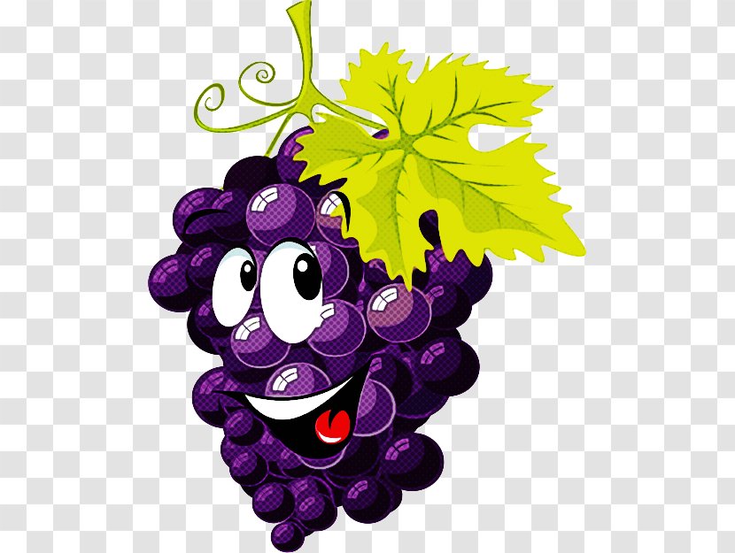 Grape Grapevine Family Leaf Vitis Purple - Plant Violet Transparent PNG