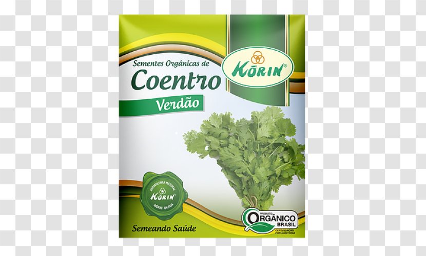Lettuce Seed Germination Liter Herb - Herbal - Sementes Transparent PNG