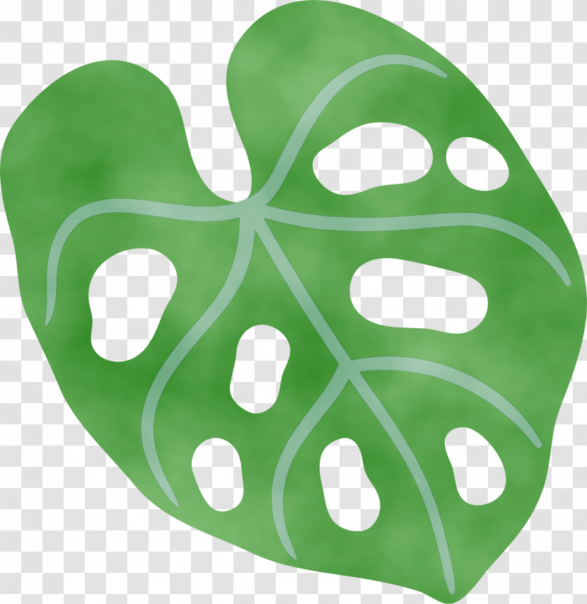 Leaf Green Science Plants Biology Transparent PNG