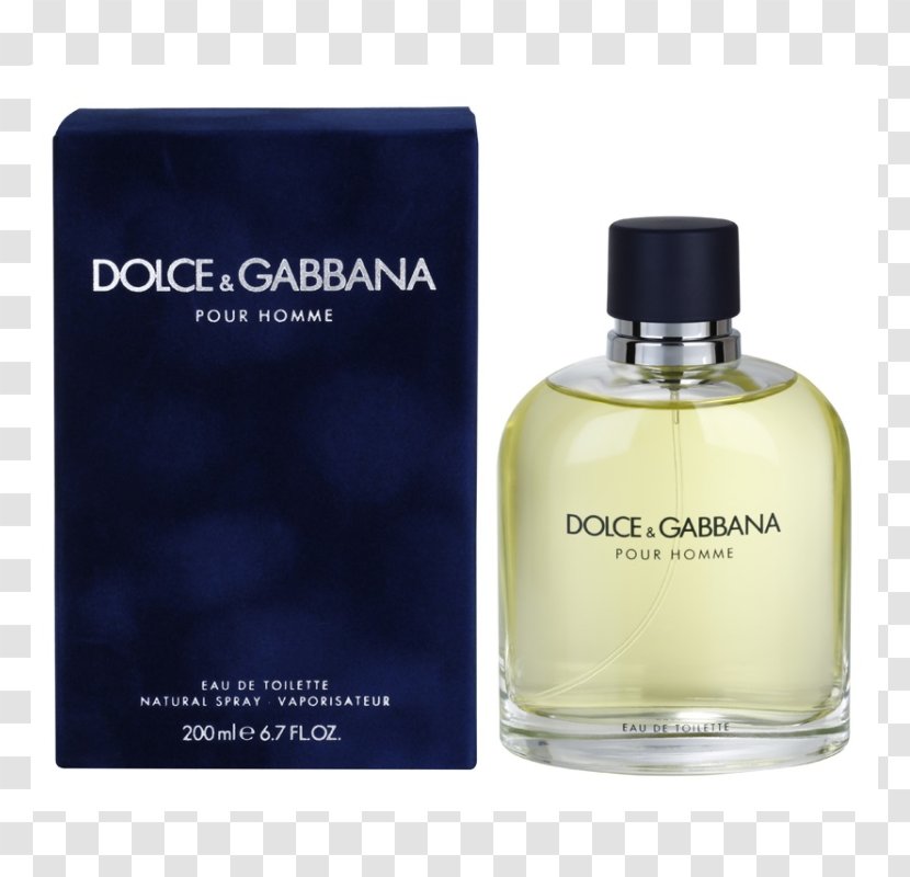 Perfume Dolce & Gabbana Eau De Toilette Note Cologne - Cosmetics - & Transparent PNG