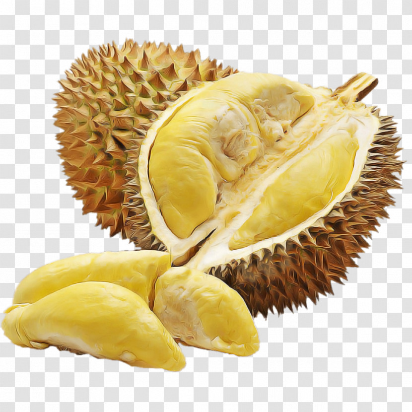Durian Fruit Food Cempedak Ingredient Transparent PNG