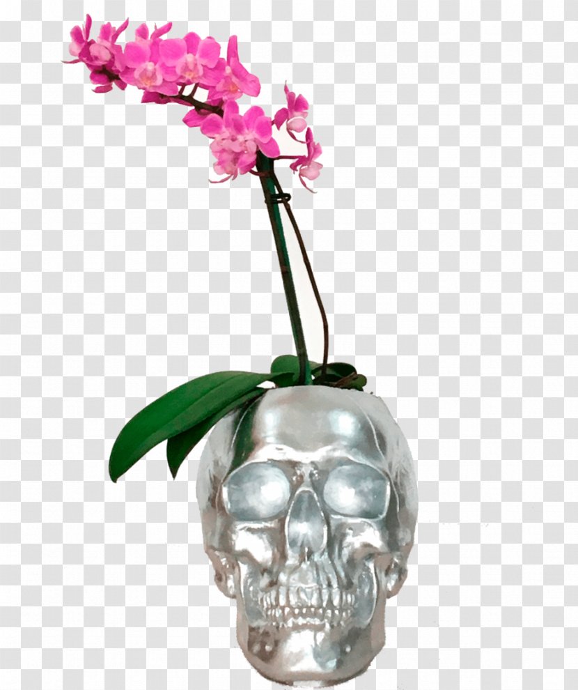Cut Flowers Flowerpot Skull Flowering Plant - Vase Transparent PNG