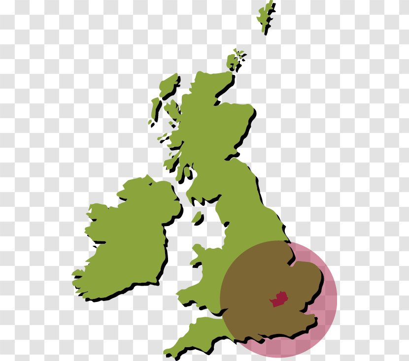 United Kingdom Vector Graphics Stock Photography Map Royalty-free - Organism Transparent PNG
