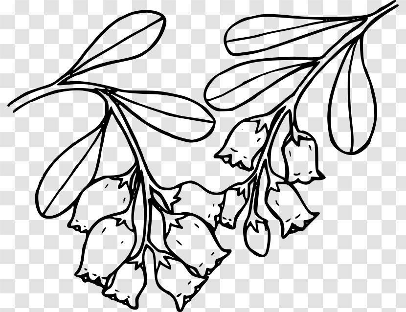 Bearberry Coloring Book Clip Art - Leaf - Urban Clipart Transparent PNG