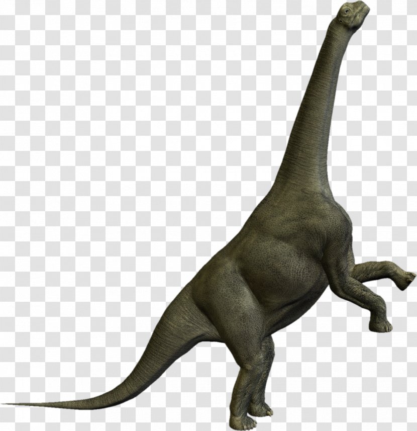 Camarasaurus Tyrannosaurus Prehistory Dinosaurios Herbivoros - Fandom - Dinosaur Transparent PNG