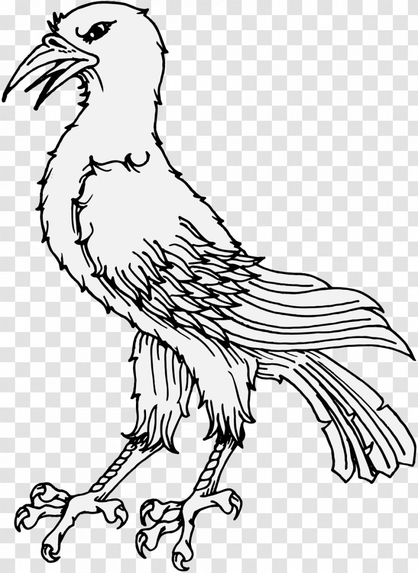 Line Art Bird Clip - Animal - Raven Transparent PNG