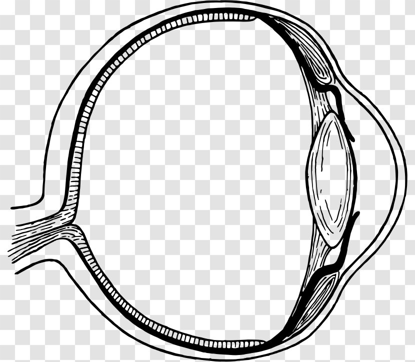 Human Eye Iris Injury Clip Art - Frame Transparent PNG