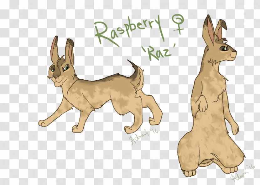 Dog Breed Domestic Rabbit Hare Macropods - Mammal - Watership Down How To Draw Bunnies Transparent PNG